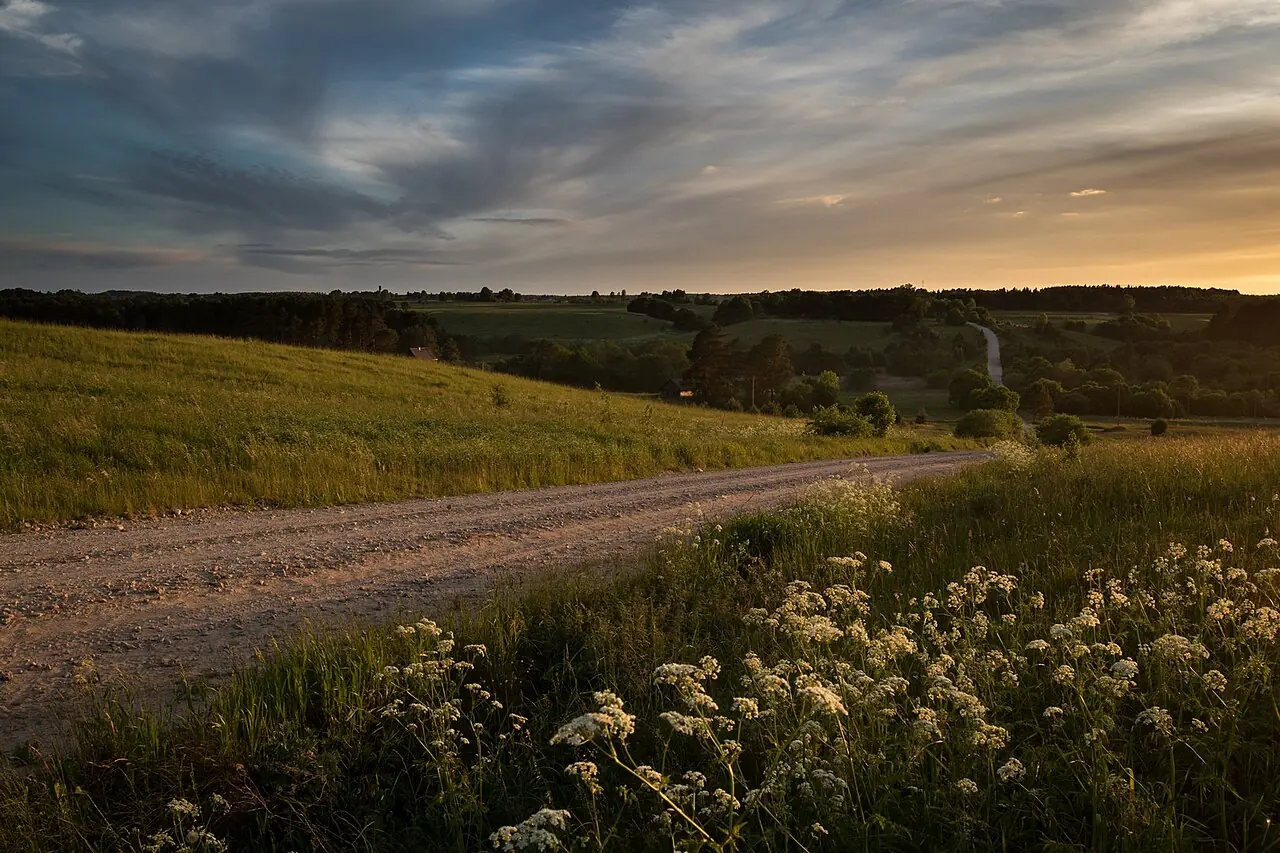 Laukų kraštovaizdis – Juškaičiai II, Šiaulių rajonas, Lietuva