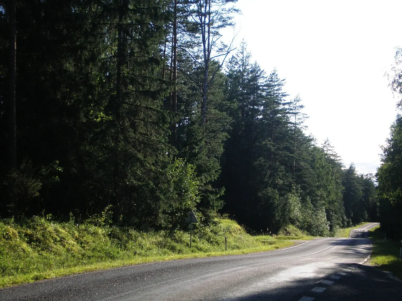 Kelias Labanoro girioje – Prie Kūrinių, Lietuva