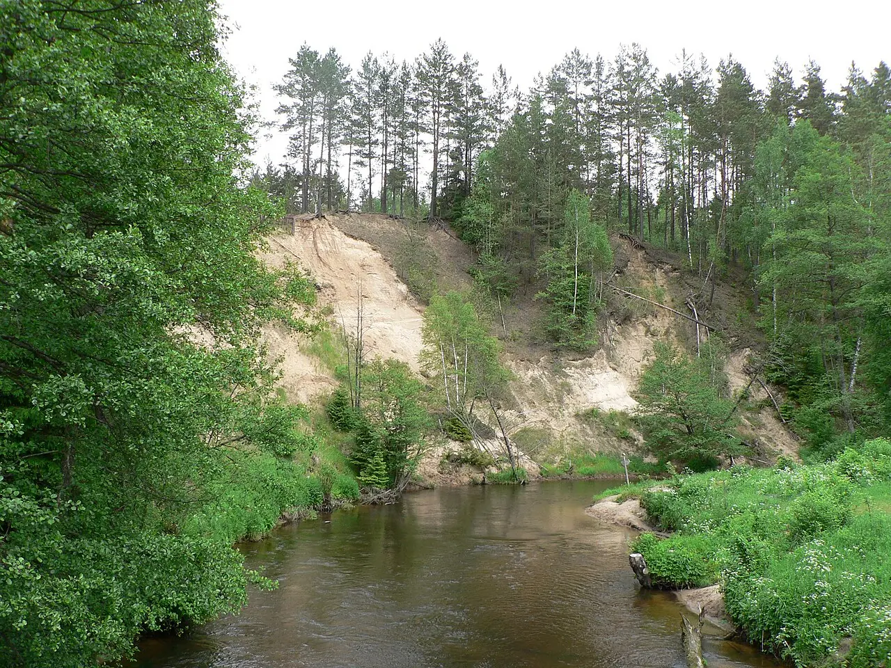 Ūlos vingis – Lietuva